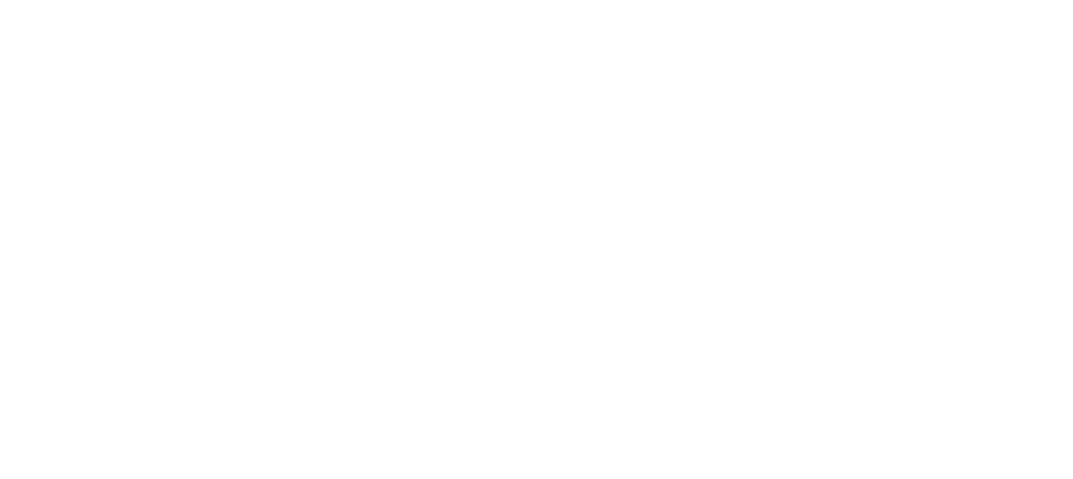goadv logo białe poziom